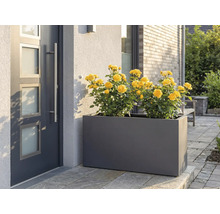 Bloembak met gele rozen voor een voordeur.