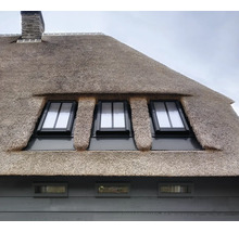 Rieten dak huis met dakramen
