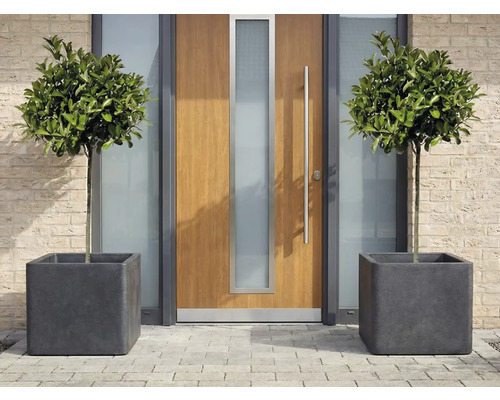 Decoratieve loofbomen in vierkante plantenbakken voor een voordeur