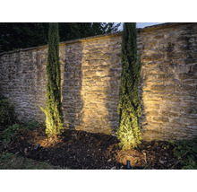 Scene met twee Italiaanse cipressen voor een stenen muur en tuinverlichting