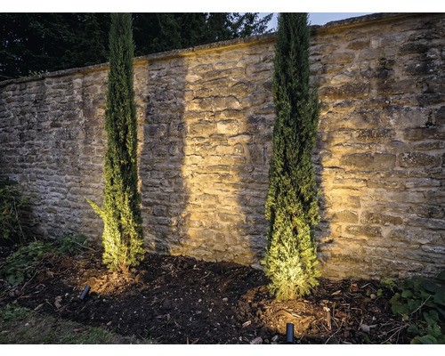 Scene met twee Italiaanse cipressen voor een stenen muur en tuinverlichting