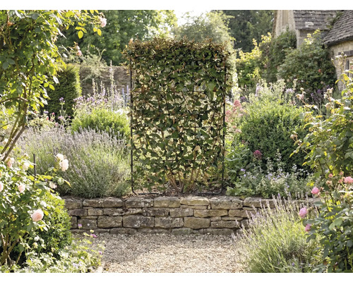 Tuin met een levende haag in een rasterframe als privacyscherm.