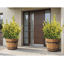 Decoratieve planten in houten kuipen voor een voordeur