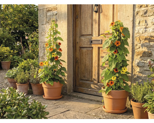 Bloemen in potten voor een huisdeur