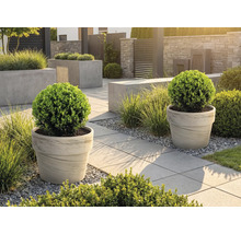 Aangelegde tuin met plantenbakken en trottoirtegels