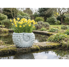 Narcissen in een plantenbak in de vorm van een schelp aan de rand van de vijver
