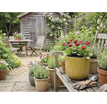 Tuinscène met houten tuinhuis, tuintafelgroep en beplante bloempotten op een houten bank