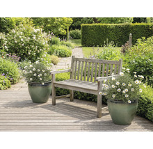 Tuinlandschap met houten banken en madeliefjes in plantenbakken.