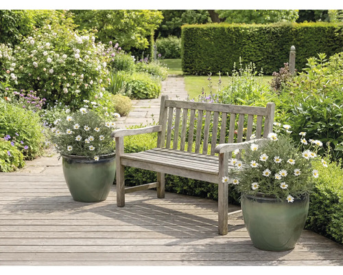 Tuinlandschap met houten banken en madeliefjes in plantenbakken.