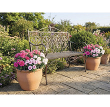 Tuinbeeld met een decoratieve metalen bank en bloempotten met kleurrijke bloemen