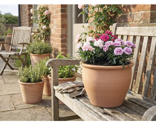 Terracottapot met anjers op een houten bank in de tuin.