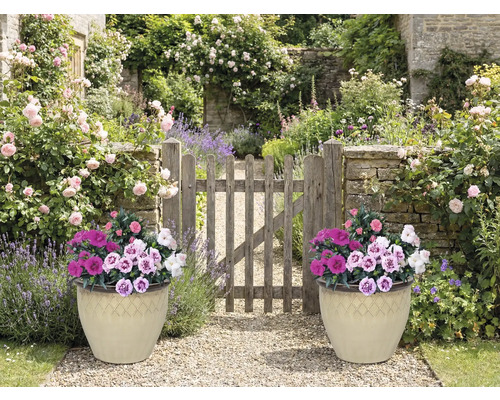 Tuinscene met twee beplante potten en houten poort
