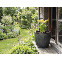 Gele narcissen in gestructureerde plantenbak op houten plank voor tuinlandschap