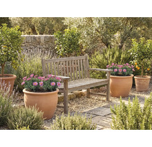 Tuin met houten bank en bloempotten