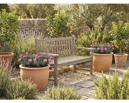 Tuin met houten bank en bloempotten