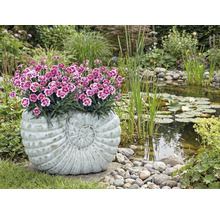 Tuinscene met vijver en beplante plantenbak in de vorm van een slak