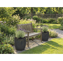 Tuinlandschap met houten bank en planten in gestructureerde plantenbakken