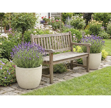 Tuin met houten bank en lavendel in plantenbakken