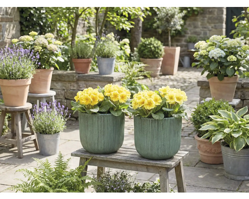 Decoratieve tuinscène met gele bloemen in plantenbakken