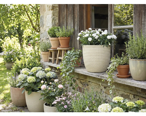 Bloemstuk met potplanten buitenshuis