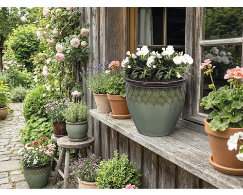 Decoratieve tuin met bloemen en planten in bloempotten voor een huis.