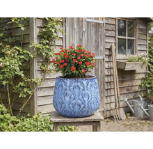 Decoratieve plantenpot met rode roos op een houten kruk voor een tuinhuisje.
