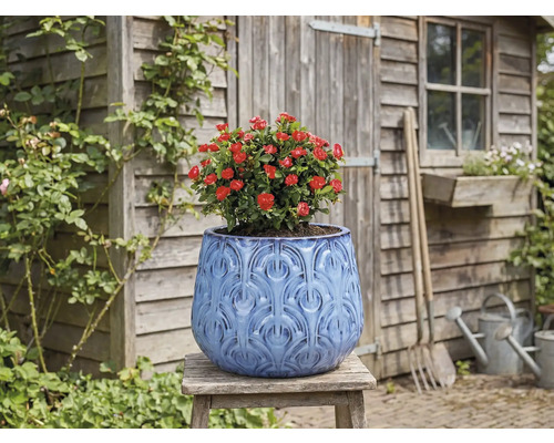 Decoratieve plantenpot met rode roos op een houten kruk voor een tuinhuisje.