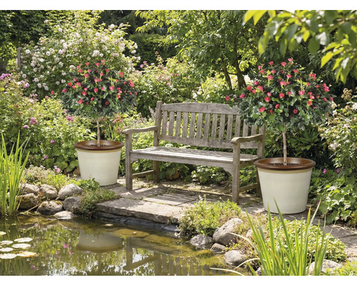 Tuin met vijver, bank en twee rozenboompjes in potten