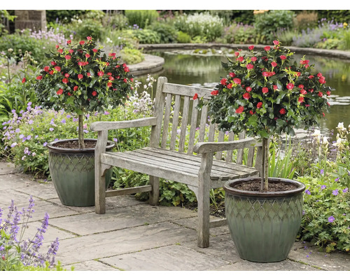 Tuinbank tussen twee rozenboompjes in potten in een tuin