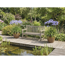 Tuinscene met een houten bank, Agapanthus in potten en een vijver