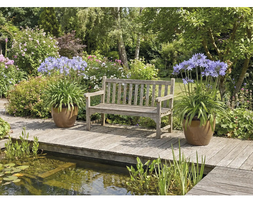 Tuinscene met een houten bank, Agapanthus in potten en een vijver