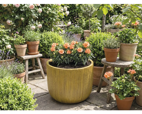 Tuin met bloemen in potten en plantenbakken.