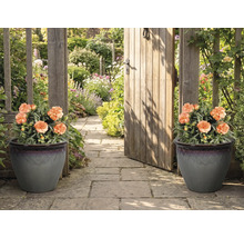 Decoratief tuinpad met twee plantenbakken en een tuinpoort