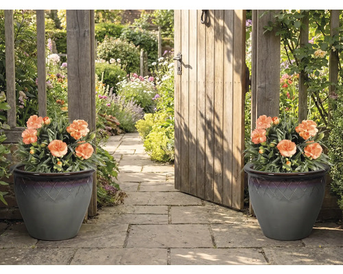 Decoratief tuinpad met twee plantenbakken en een tuinpoort