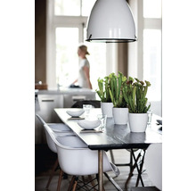 Eettafel met stoelen, servies, planten in potten en hanglamp