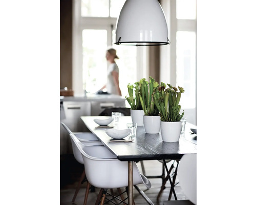 Eettafel met stoelen, servies, planten in potten en hanglamp