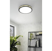 Ronde plafondlamp in woonkamer met rek en kamerplant