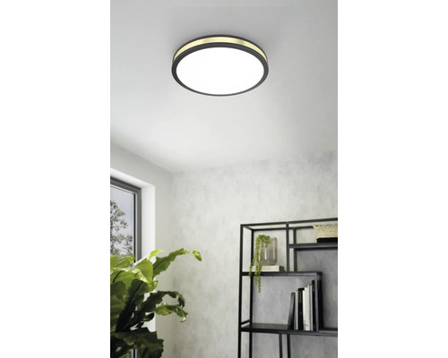 Ronde plafondlamp in woonkamer met rek en kamerplant