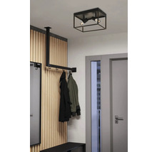 Hal met plafondlamp, kapstok en deur