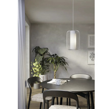 Eetkamer met eettafel, stoelen, kamerplanten en een hanglamp