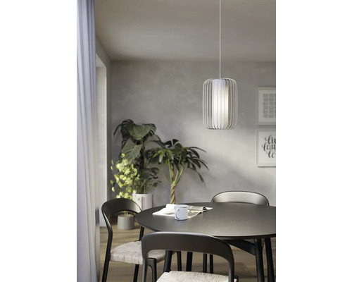 Eetkamer met eettafel, stoelen, kamerplanten en een hanglamp