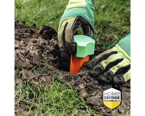 Een persoon plaatst met handschoenen een woelmuisblokkade in de grond.