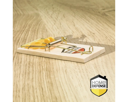 Houten muizenval met kaas