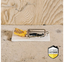 Muizenval met lokaas op plaat