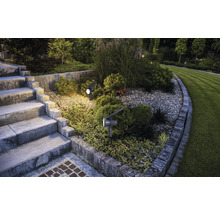 Verlichte tuin met solarlampen, stenen trap en gazon