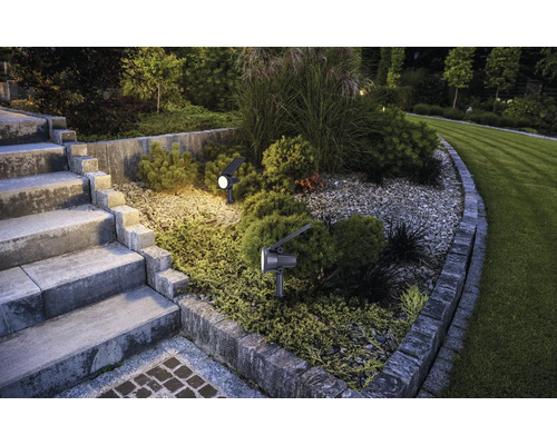 Verlichte tuin met solarlampen, stenen trap en gazon