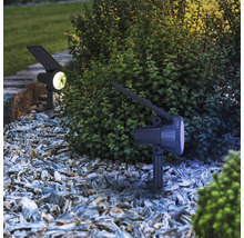 Twee solarspots in de tuin verlichten struiken en stenen.