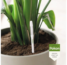 Planten in pot met Pokon vochtmeter
