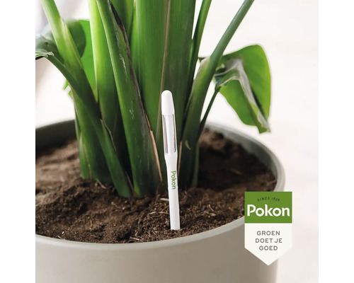Planten in pot met Pokon vochtmeter