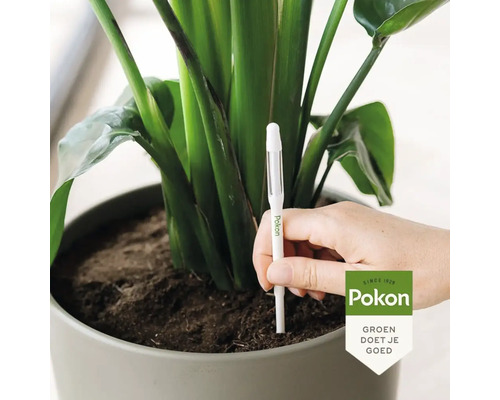 Planten in een pot met een vochtmeter voor bodemanalyse